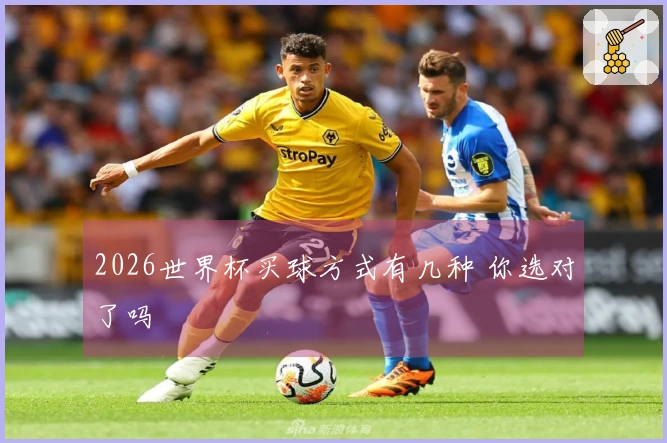 2026世界杯买球方式有几种 你选对了吗