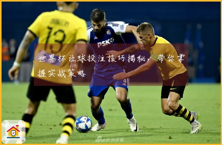 世界杯让球投注技巧揭秘，带你掌握实战策略