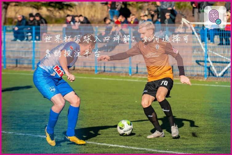 世界杯买球入口详解：如何选择可靠的投注平台