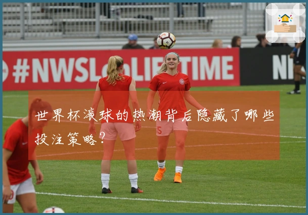 世界杯滚球的热潮背后隐藏了哪些投注策略？