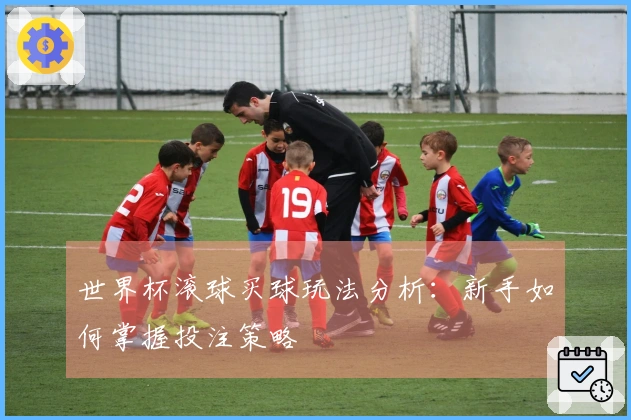 世界杯滚球买球玩法分析：新手如何掌握投注策略
