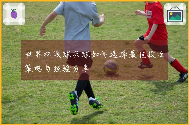 世界杯滚球买球如何选择最佳投注策略与经验分享