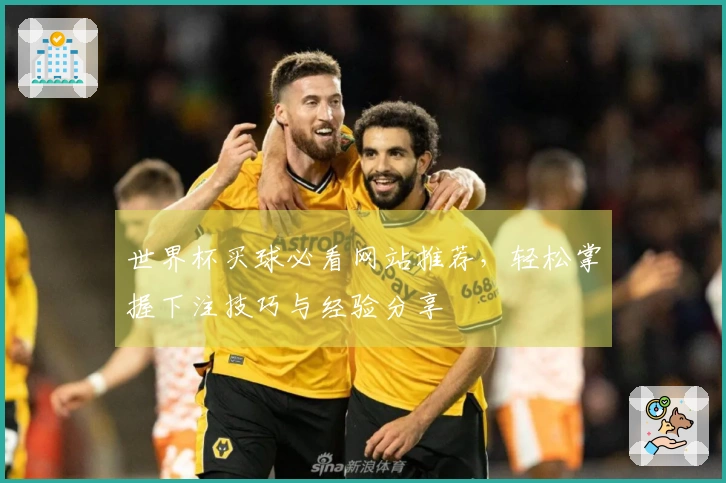 世界杯买球必看网站推荐，轻松掌握下注技巧与经验分享
