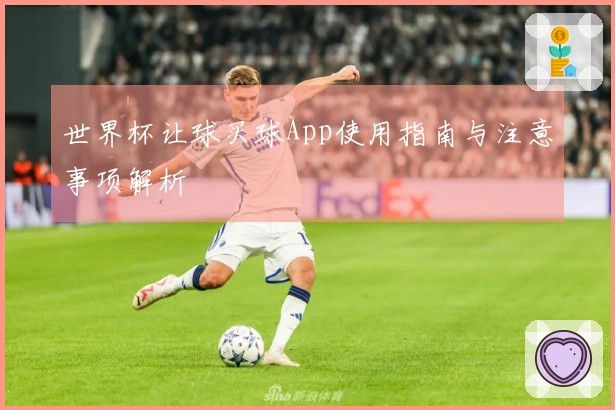 世界杯让球买球App使用指南与注意事项解析