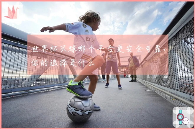 世界杯买球哪个平台更安全可靠，你的选择是什么
