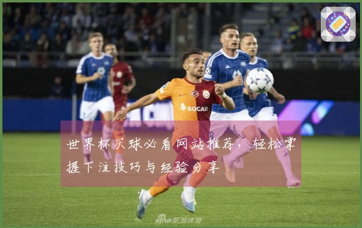 世界杯买球必看网站推荐，轻松掌握下注技巧与经验分享