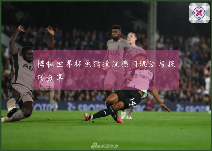 揭秘世界杯竞猜投注热门玩法与技巧分享