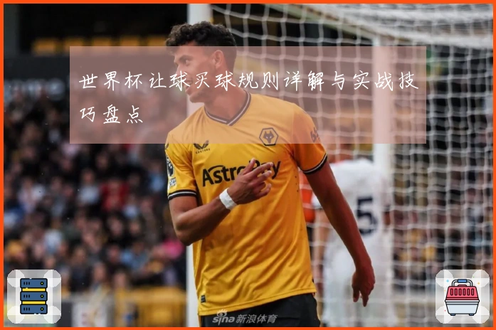 世界杯让球买球规则详解与实战技巧盘点