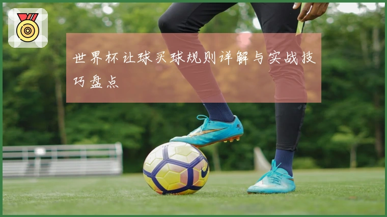 世界杯让球买球规则详解与实战技巧盘点