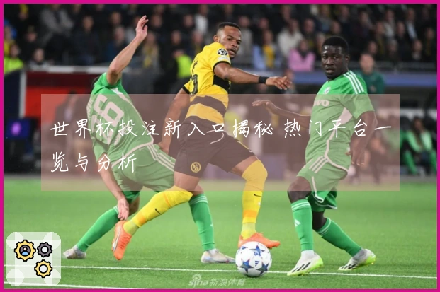 世界杯投注新入口揭秘 热门平台一览与分析