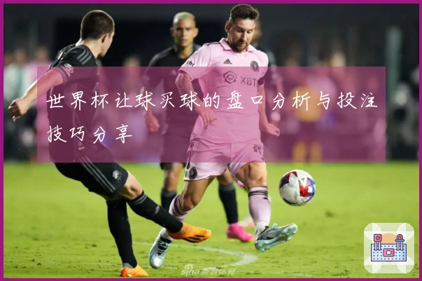 世界杯让球买球的盘口分析与投注技巧分享