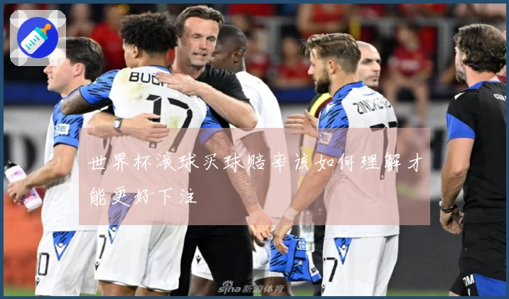 世界杯滚球买球赔率该如何理解才能更好下注