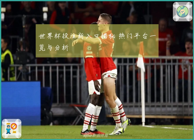 世界杯投注新入口揭秘 热门平台一览与分析