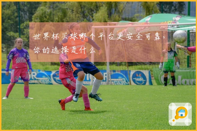 世界杯买球哪个平台更安全可靠，你的选择是什么