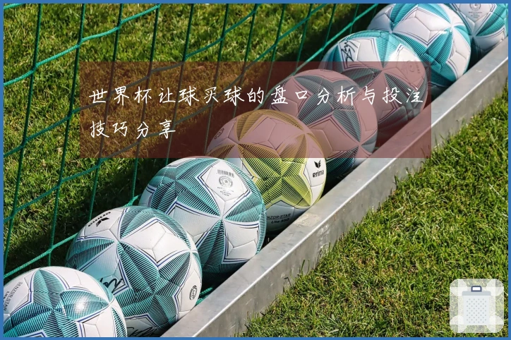 世界杯让球买球的盘口分析与投注技巧分享